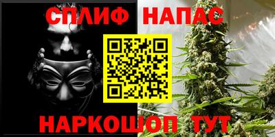 spice Камышлов