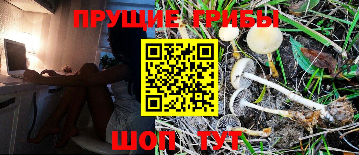 Псилоцибиновые грибы Cubensis  Псилоцибиновые грибы Psilocybine cubensis  Вход с VPN  Электросталь 