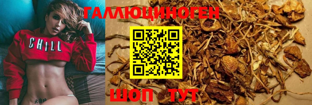 Галлюциногенные грибы Magic Shrooms Электросталь